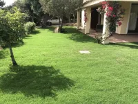 Villa with garden 100 mt from the beach " timi ama   CIN IT111105C2000Q9165