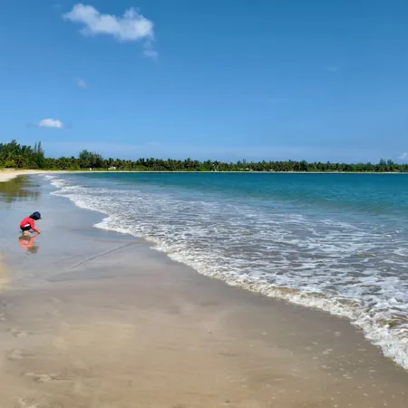 Beach Vibes: Pool w. Waterfall, Beach by El Yunque