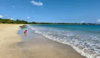 Beach Vibes: Pool w. Waterfall, Beach by El Yunque - Beach