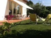 Promotion - Typical house. Hotels near Albero con gli Occhi
