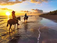 Beachfrontgem Perfect for Large Family Gatherings and Friend Reunions Hotels in Savegre