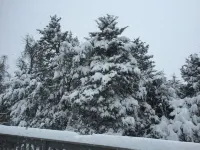 Great Massanutten Contemporary Property (Sleeps 10) - Military Discount Avail Hotels in Massanutten