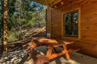 Spacious luxury cabin in private wooded setting 5 mins from downtown Blue Ridge