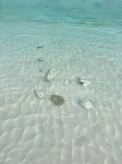 Treasure Cay, Palm Bay 7, Anchorage Drive