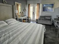 Comfy Luxury Studio Apt. Has it all ! Close to Everything .