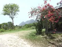 Calm and serenity with DIAMOND.