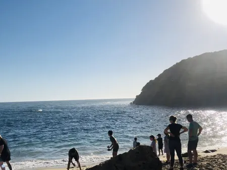 Charlie sweet home @ Mornington Peninsula