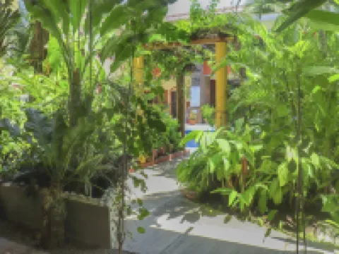 Hotel Palmeras Hotels in Bucerias