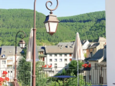Hotel de France Hotels in Mende