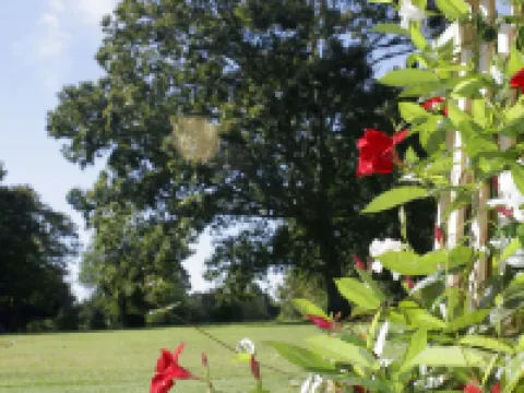 Seven Oaks Inn Bed and Breakfast Hotels in High Point