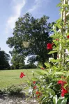 Seven Oaks Inn Bed and Breakfast Hotels in High Point