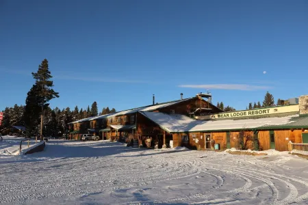 Bear Lodge Resort Отели в г. Дейтон