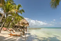 Beachfront Hotel la Palapa - Adults Only - Beach