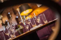 Hotel Aplaus - bar