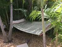 An Island Getaway at Palm Tree Villas