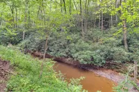 Secluded Mountain Retreat 30 Mi to Asheville! - 3-Star