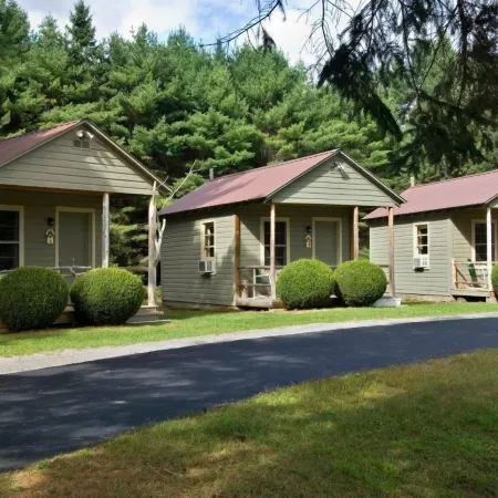 Pine Tree Motel & Cabins