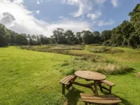 Primrose Hotels in Oakhill