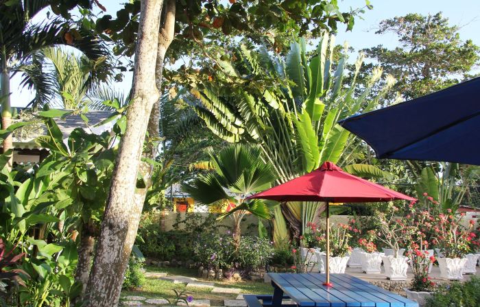 Negril Palms
