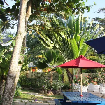 Negril Palms