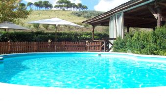 Tenuta Agricola Fonte di Papa