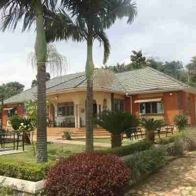 Carpe Diem Guesthouse Hotel Exterior