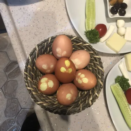 Ziyagil Konağı