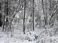 Walk to Elk Rapids.Close to Traverse & Charlevoix