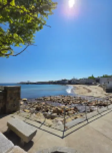 The Cove at Rockport