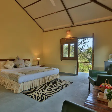 Bison Retreat - Pench