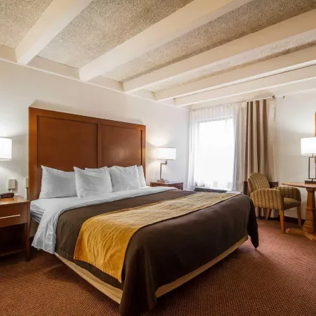 Comfort Inn & Suites Madison - Airport
