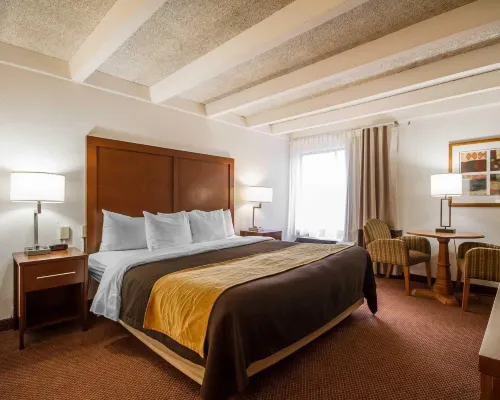 Comfort Inn & Suites Madison - Airport Hotels in Madison