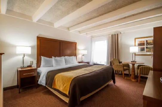 Comfort Inn & Suites Madison - Airport