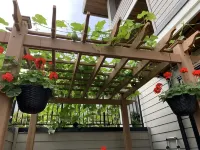 New Entire Guest Suite