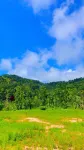 View point homestay Coorg !!
