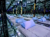 The OMG House that will BLOW YOUR MIND with Unbelievable Cats n Mirrors Hotels in Lake Oswego