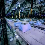 The OMG House that will BLOW YOUR MIND with Unbelievable Cats n Mirrors