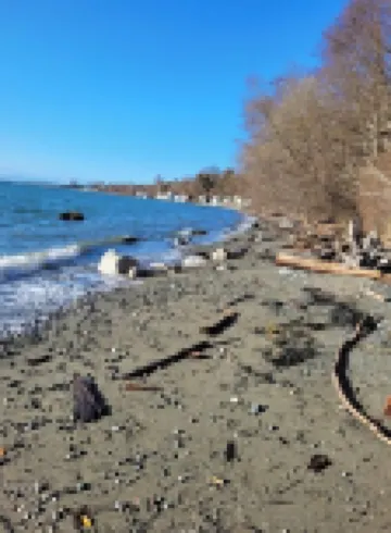 Cozy Classy Country Cottage