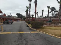 Deluxe Inn - Savannah - Motels