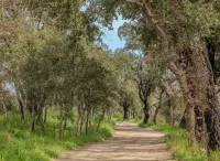 Quiet family country villa Các khách sạn ở Cogolin