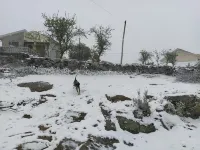 Village of Moura Morta Hotels in Castro Daire