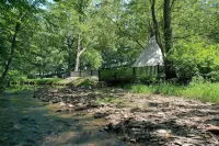 Tiny House w/Creek and Eagles