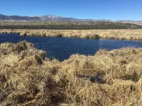 Views, views, views! Spacious home with Red Rock & Sunset Views. Near the river! Hotels in Clarkdale