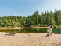 Cozy studio cabin in Arnold California with WiFi, AC Hotels in Arnold