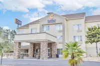 Comfort Inn & Suites Montgomery East Carmichael Rd - Gym