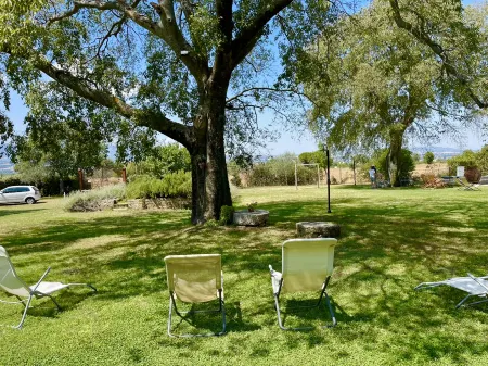 Spoleto Biofarm-Sleeps 8 Guests-Salt Water Pool-Beautiful-Exclusively Yours-Wifi