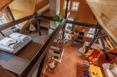 Loft with sauna and fireplace