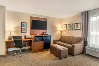 Comfort Inn Petersburg Fort Lee Area Hotels in Rives