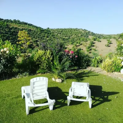 Plum Apartment Hotels in Los Velez