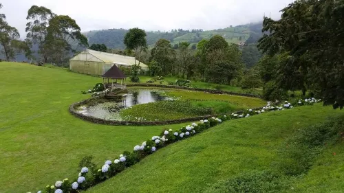 Escape to the mountain: Cabaña Finca Barajas